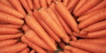 Producator Agricol Galati Legume Galati