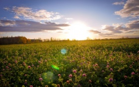 ordonanta_de_urgenta_nr_99_per_2010_400